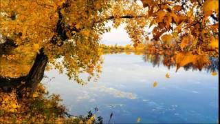 «Живые видео обои»907656115(, 2016-09-22T08:26:20.000Z)