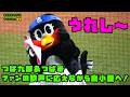 つば九郎＆つばみ　ファンの歓声に応えながら鳥小屋へ！！　2026/5/13 vs阪神