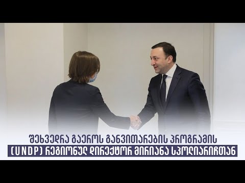 შეხვედრა გაეროს განვითარების პროგრამის (UNDP) რეგიონულ დირექტორ მირიანა სპოლიარიჩთან