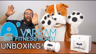 varram dog toy
