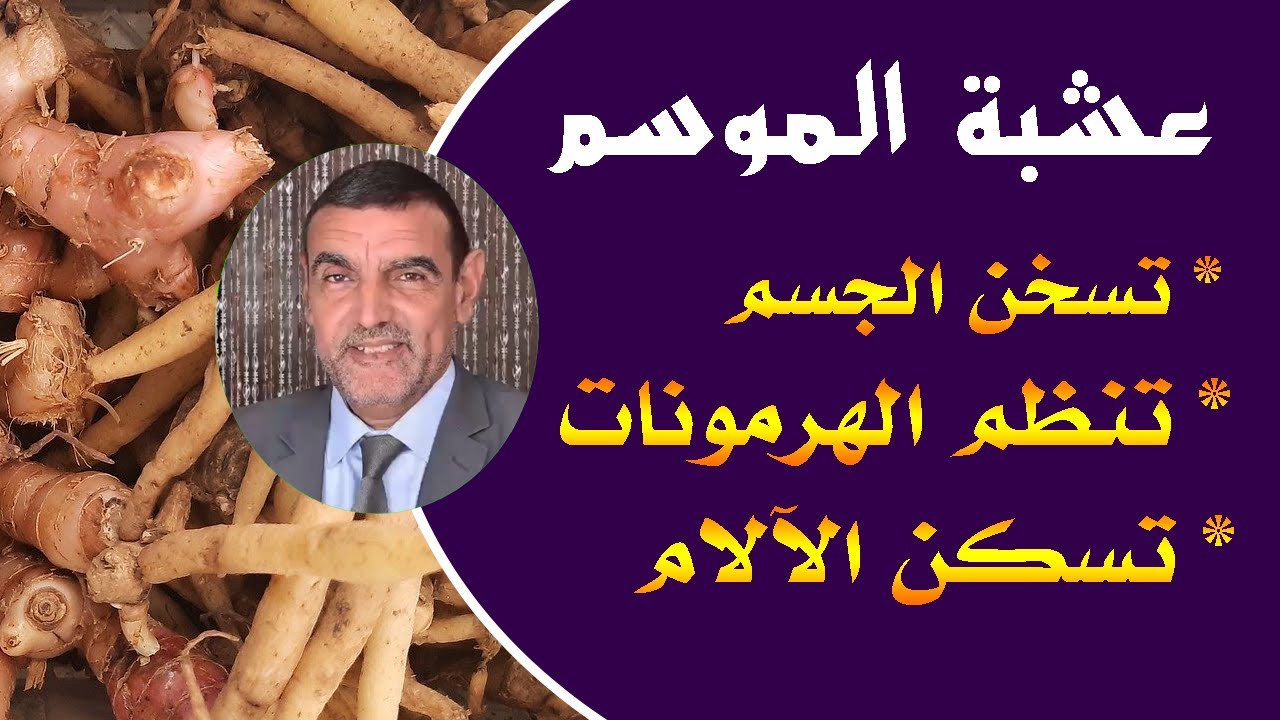 تعرف على  فوائد الخولنجال العجيبة للرجال والنساء مع الدكتور محمد الفايد / galanga