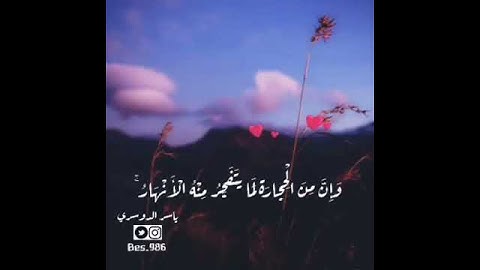 ما تيسر من سورة البقرة - الشيخ / ياسر الدوسري