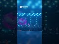 Salim-Sulaiman Live at Phoenix Marketcity Bangalore 🎶🔥 | Bhumi Album #Shorts #7 #travel
