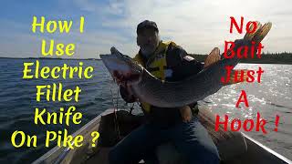 How I Fillet big Pike For Transport Home ? S5,E79