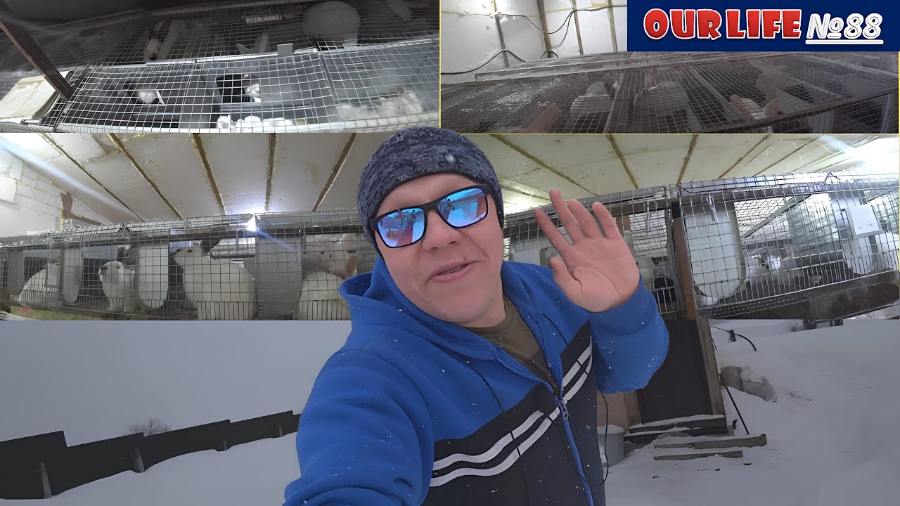 Первокролка, Вредина и кролы маньяки.Первые впечатления о новом корме. Новости на миллион.