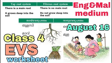 Victers Class 4 EVS worksheet August 16 English and Malayalam medium