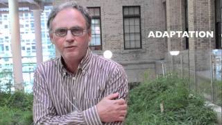 Alan Abelsohn on climate change and public health