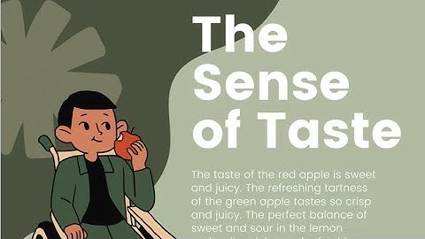 Std-1 Evs  Ch-3 Functions of Sense Organ based on Rhime.