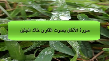 سورة الأنفال بصوت القارئ خالد الجليل صوت أكثر من رائع