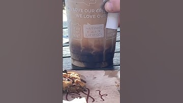 This Coffee is so Satisfying! #short #shorts #fyp #shortsviral #viral