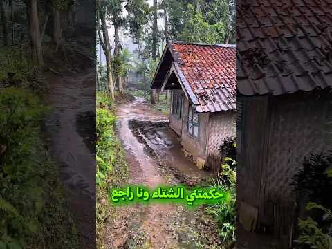 شعور لا يوصف حكمتني شتاء وانا راجع للبيت في النيبال