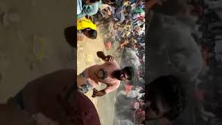 John Cena Bull Mass Whatsapp Status