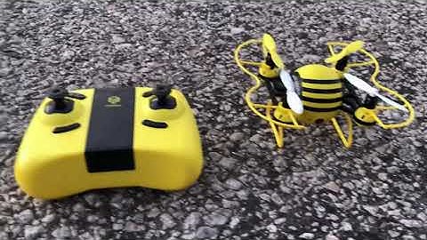 Hasakee H1 Bee - Its a great little Flyer!