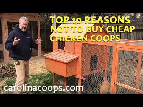 Beware of Cheap Chicken Coops!