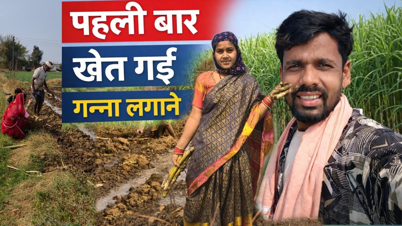 पहली बार गन्ने लगाने आई 🤣😍