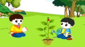 Kĩ năng sống chăm sóc bảo vệ cây xanh