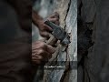 "کامیابی ایک دن میں نہیں ملتی | حوصلہ افزا ویڈیو | Motivational Short in Urdu"