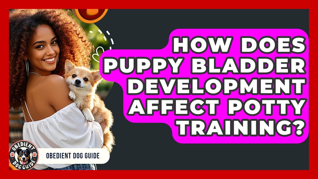 How Does Puppy Bladder Development Affect Potty Training? - Obedient Dog Guide