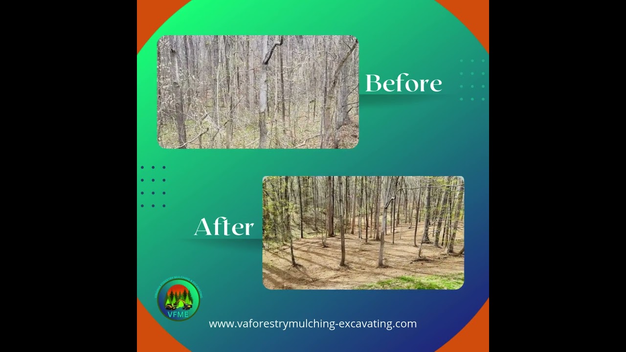 Forestry Mulching in Stafford County Virginia