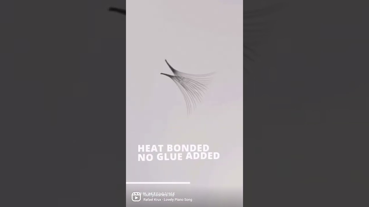 12D Pointy Base Premade Fans XL Tray