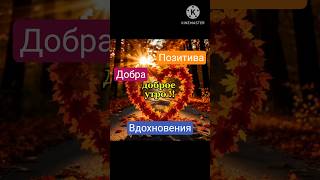 с добрым утром ! ☀️хорошего настроения #shorts #пожелания #музыкальнаяоткрытка #shortvideo