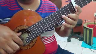 Video thumbnail of "Testimonio de un Sueño/Requinto Dúo Libano."