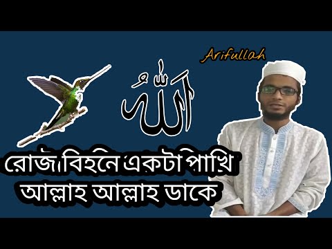 রোজ-বিহনে-একটা-পাখি-আল্লাহ-আল্লাহ-ডাকে..||-islami-sangeet-video-||bangla-gojol-||-islamic-drishtiko