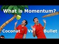 Dangerous Objects: Coconut vs Bullet
