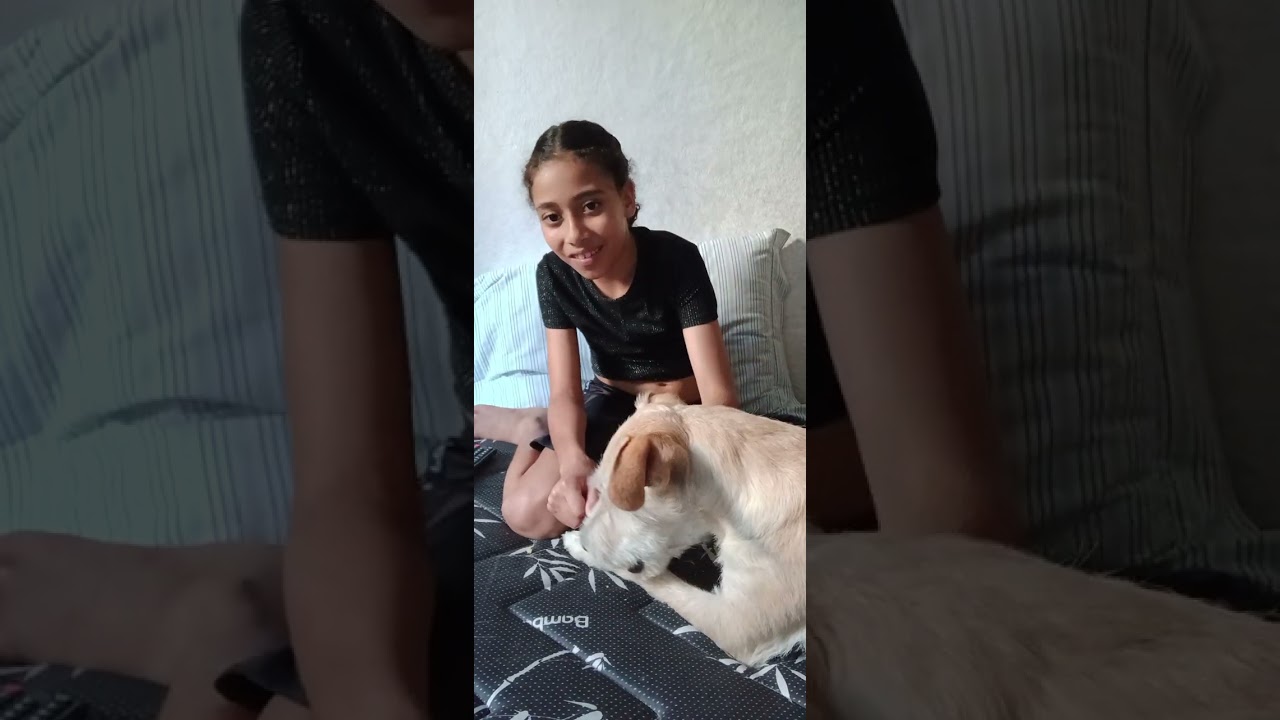 Onde ta o bolo Sebá.