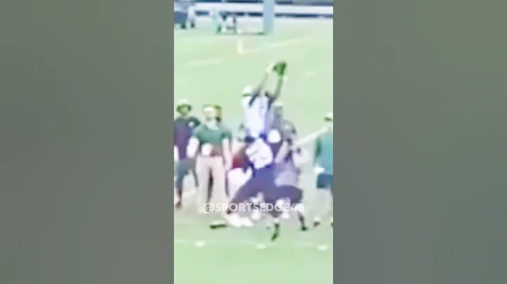 Garrett Wilson with an insane catch #nfl #football #shorts #catch #insane