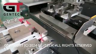 Rapid Test Kit Assembly and Packing Machine (2 up)
