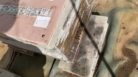 251110　穏やかな晴天で、時騒ぎ。ペーストを追加した。