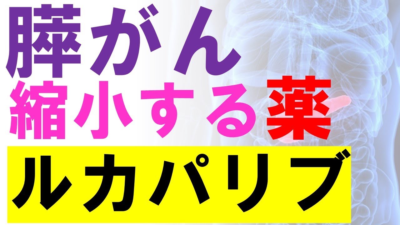 膵がんに新薬ルカパリブ（PARP阻害薬）で癌縮小：第２相臨床試験の結果