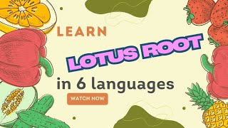 Learn Lotus Root (蓮藕/Lótus/Lotus/Lotuswurzel/Lótus) in 6 Languages - Easy! | 六種語言輕鬆學會「蓮藕」！