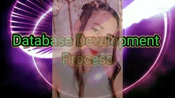 Database Development Process