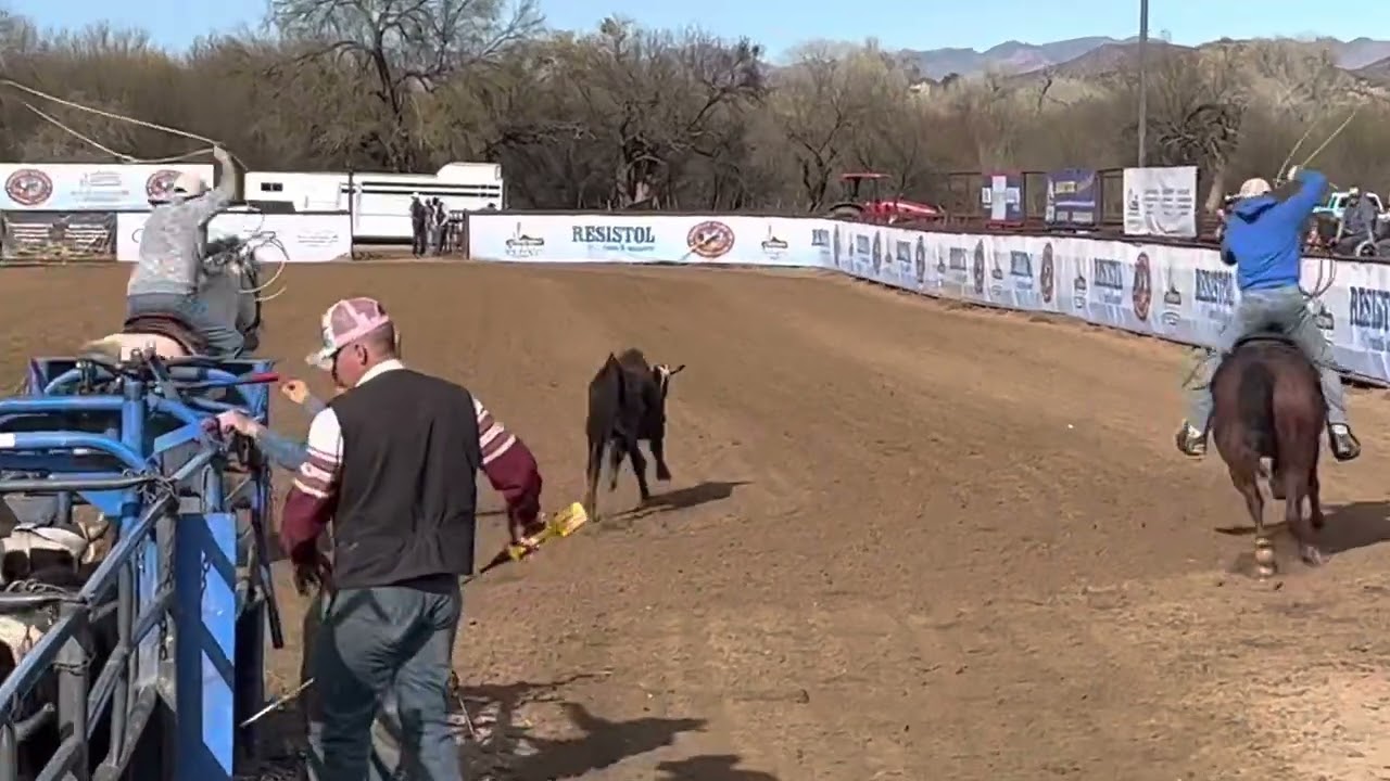 Peppy” Lot 207 Black Hills Stock Show Horse Sale 2023 - YouTube