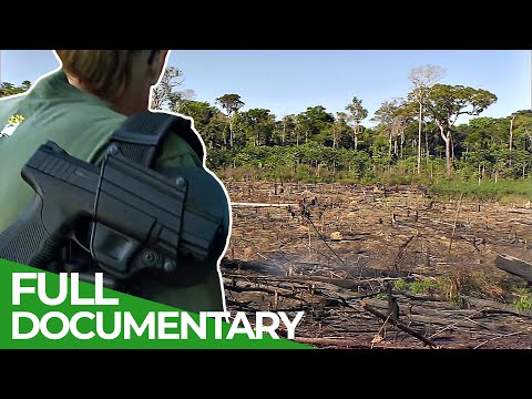 Saving Amazonia - Part 1: Raids in the Rainforest | Free Documentary Nature