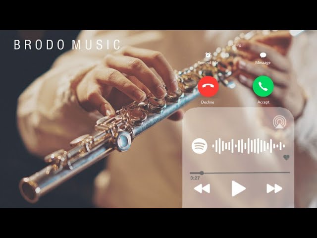 New Chinese Flute Ringtone | Download Link In Description class=