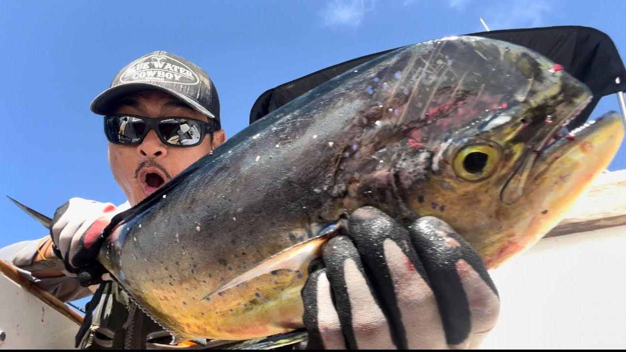 Kaku lures Hawaii (mahi mahi fishing) YouTube