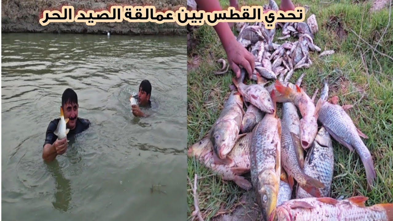 اصعب تحدي مع ابو عقيل صيد سمك  الكارب بالغطس عثرنا على منبع السمك