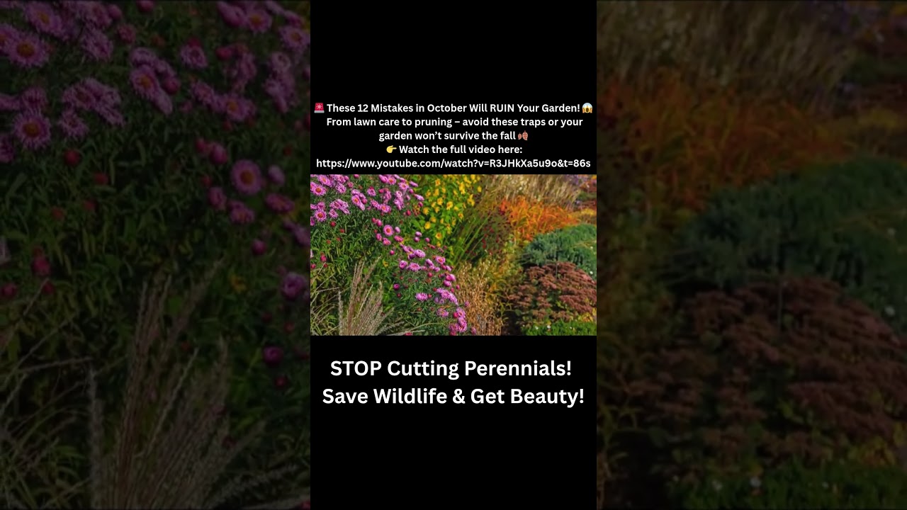 🚨 These 12 Mistakes in October Will Ruin Your Garden!