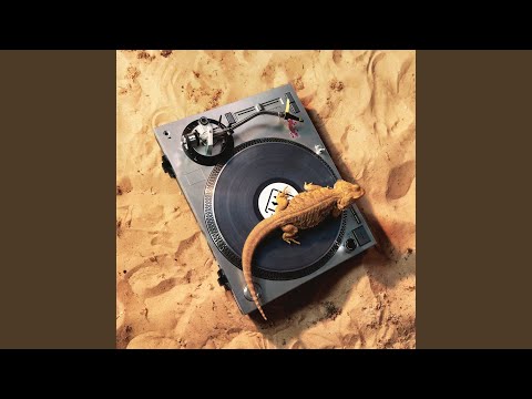 X-Coast — Nu Style