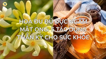 Hoa Đu Đủ Đực Ngâm Mật Ong: 5 Tác Dụng Thần Kỳ Cho Sức Khỏe