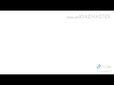 東方PV   PV