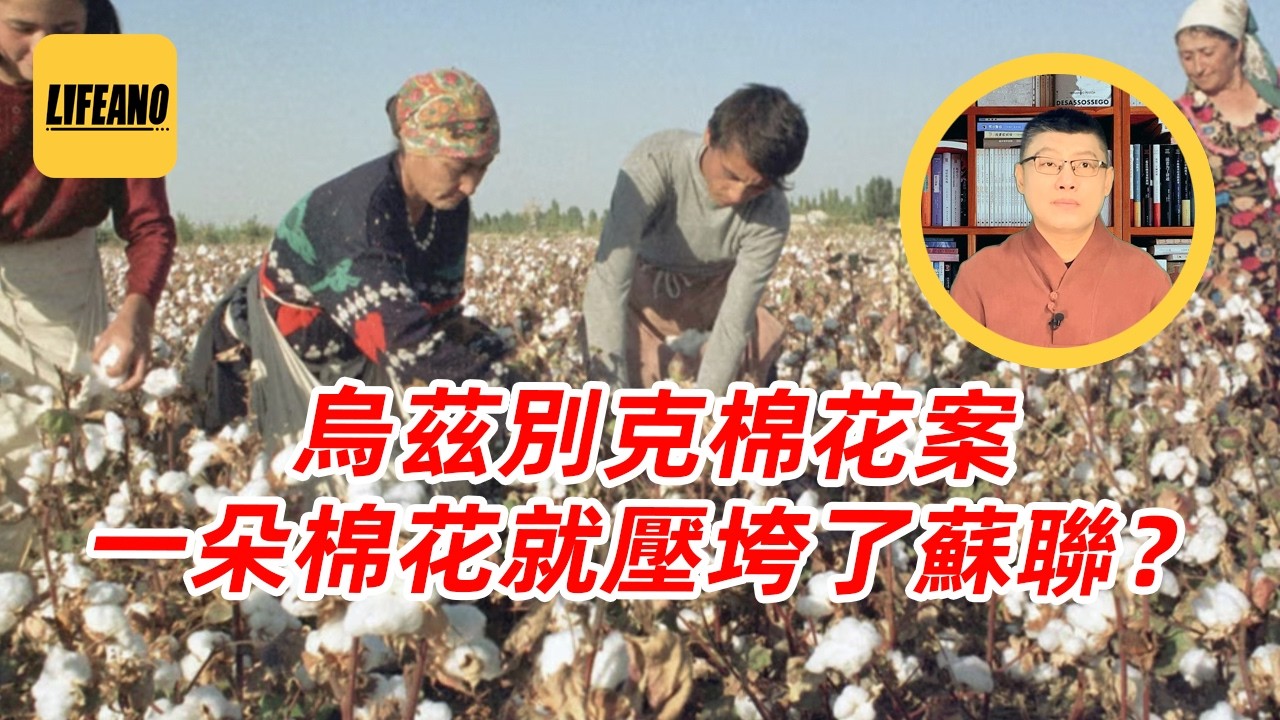 袁Sir聊乌兹别克棉花案：棉花咋把苏联“压垮”的？#lifeano漫聊 260223