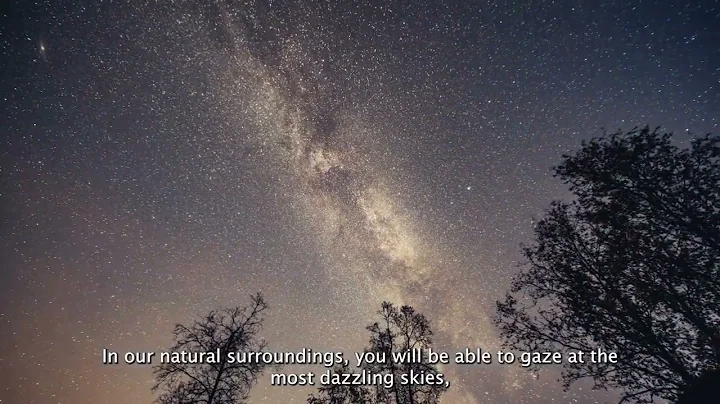 Spain’s path to Sustainable Tourism: a model for the future 🌍