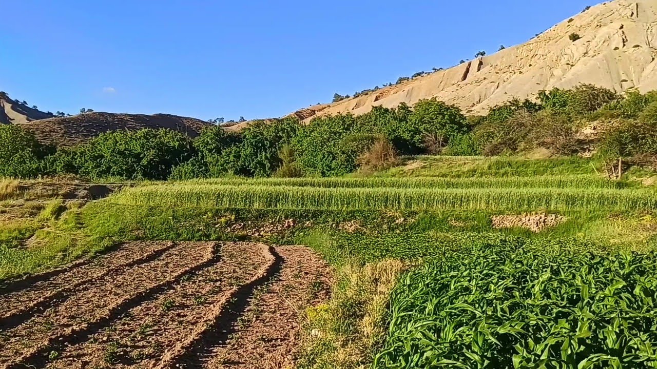 بني بويلول|الجزء الثاني|الولجة
