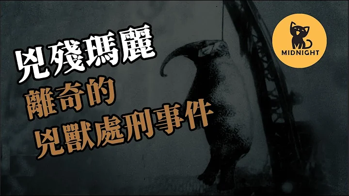 最知名的动物处刑，大象到底发生了什么，凶残玛丽事件 - 天天要闻