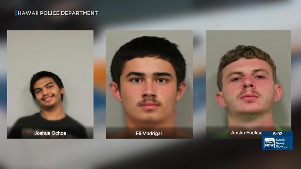 3 teens charged after allegedly firing guns near Kona school
