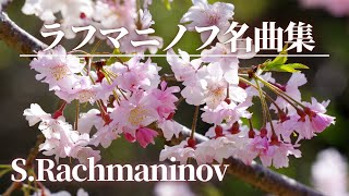 【名曲クラシック】ラフマニノフの名曲から5曲セレクトしました♪S.Rachmaninov  作業用BGM
